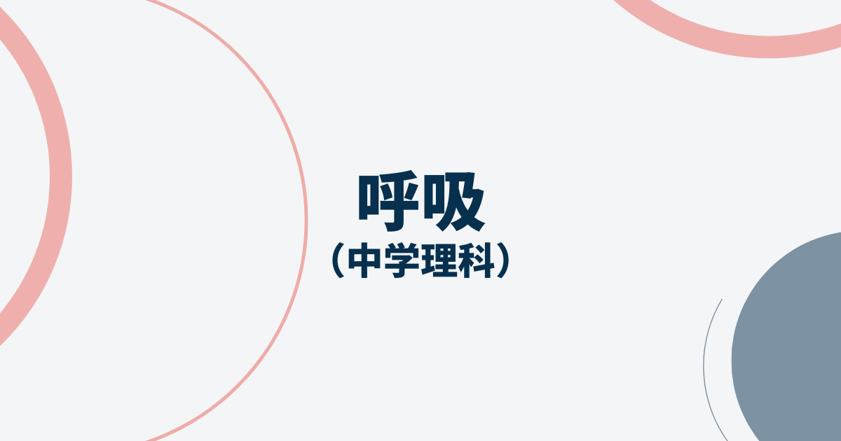 呼吸サムネイル画像