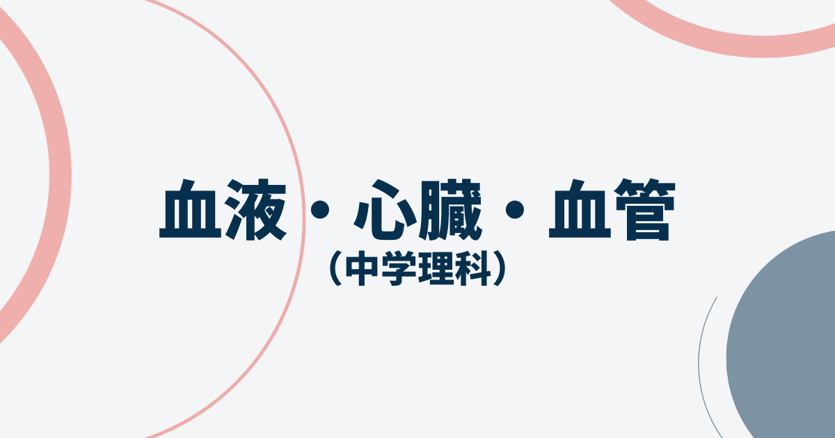 血液・心臓・血管アイキャッチ画像