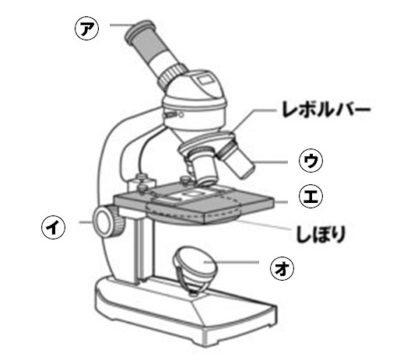 顕微鏡問題