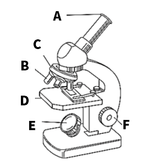 顕微鏡問題図