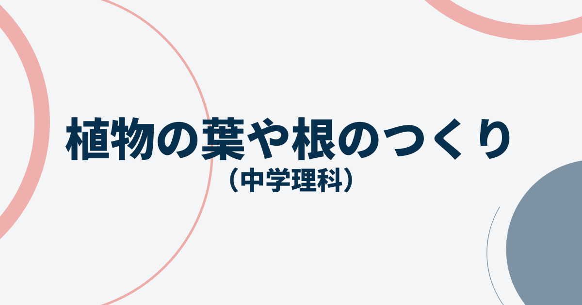 根茎葉アイキャッチ画像